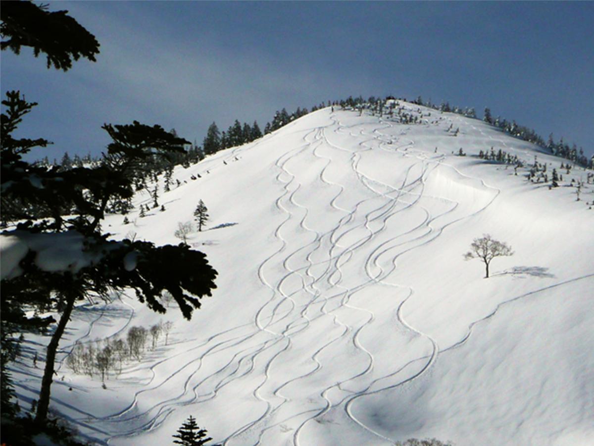 Kagura White Horse Inn Юдзава Экстерьер фото